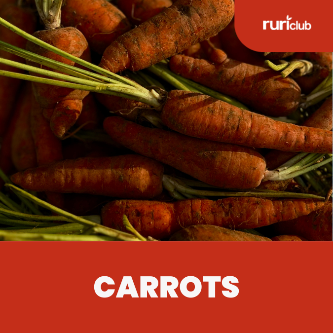 Carrots