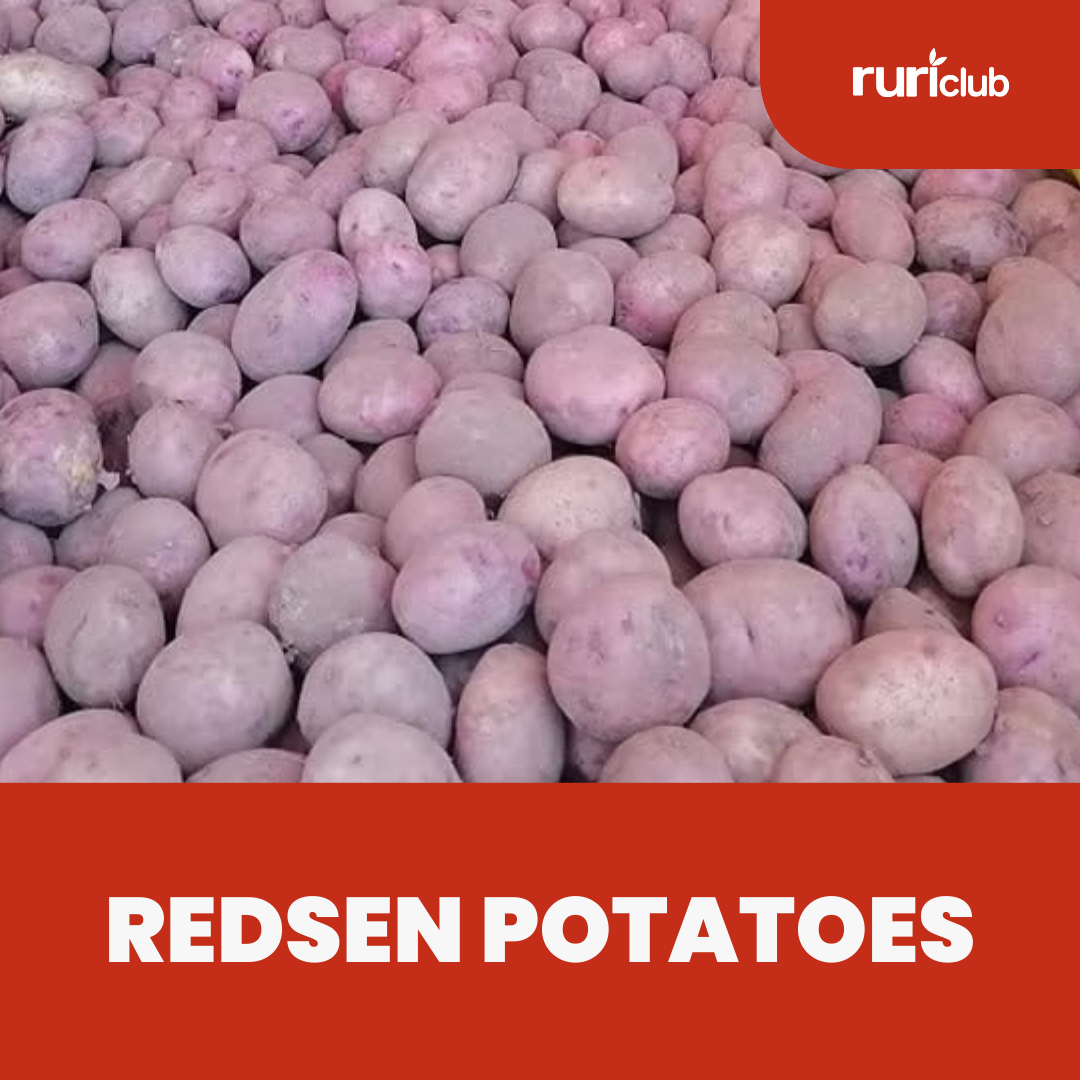 Redsen Potatoes