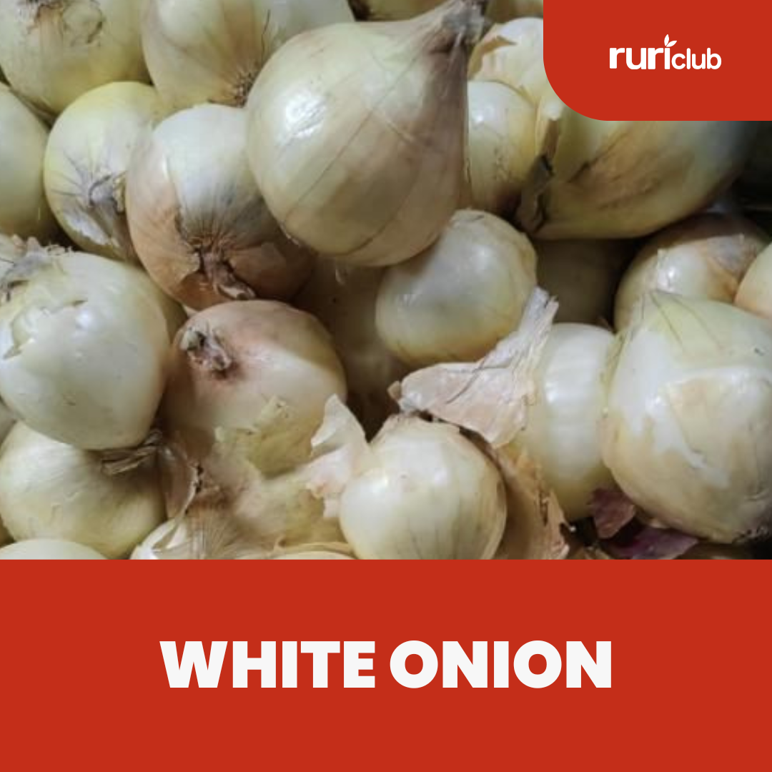White Onion GB