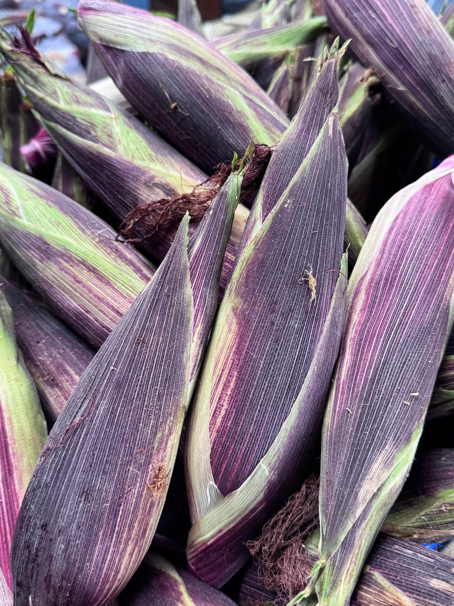 Pure Purple Corn