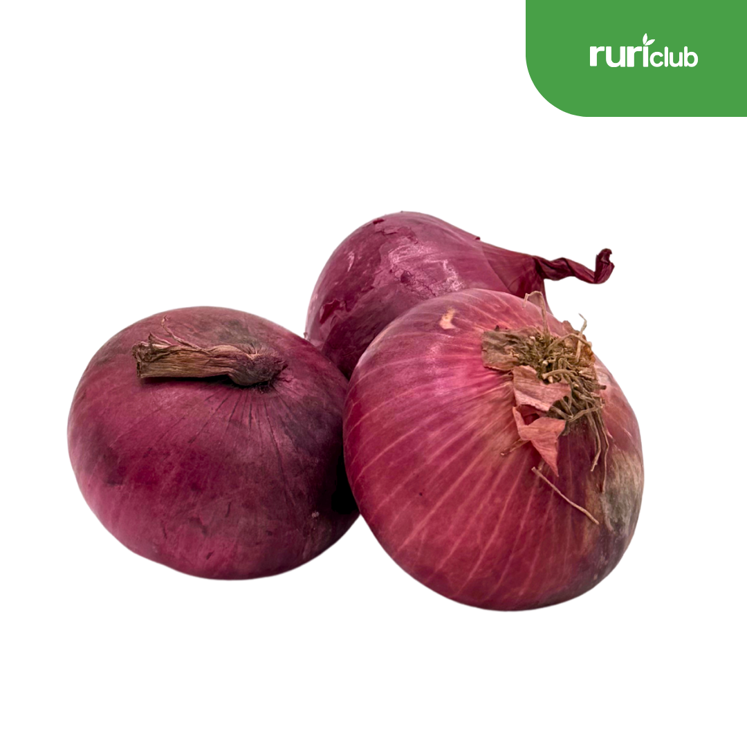 Onion Red