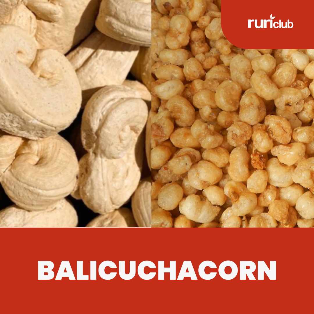 Balicuchacorn