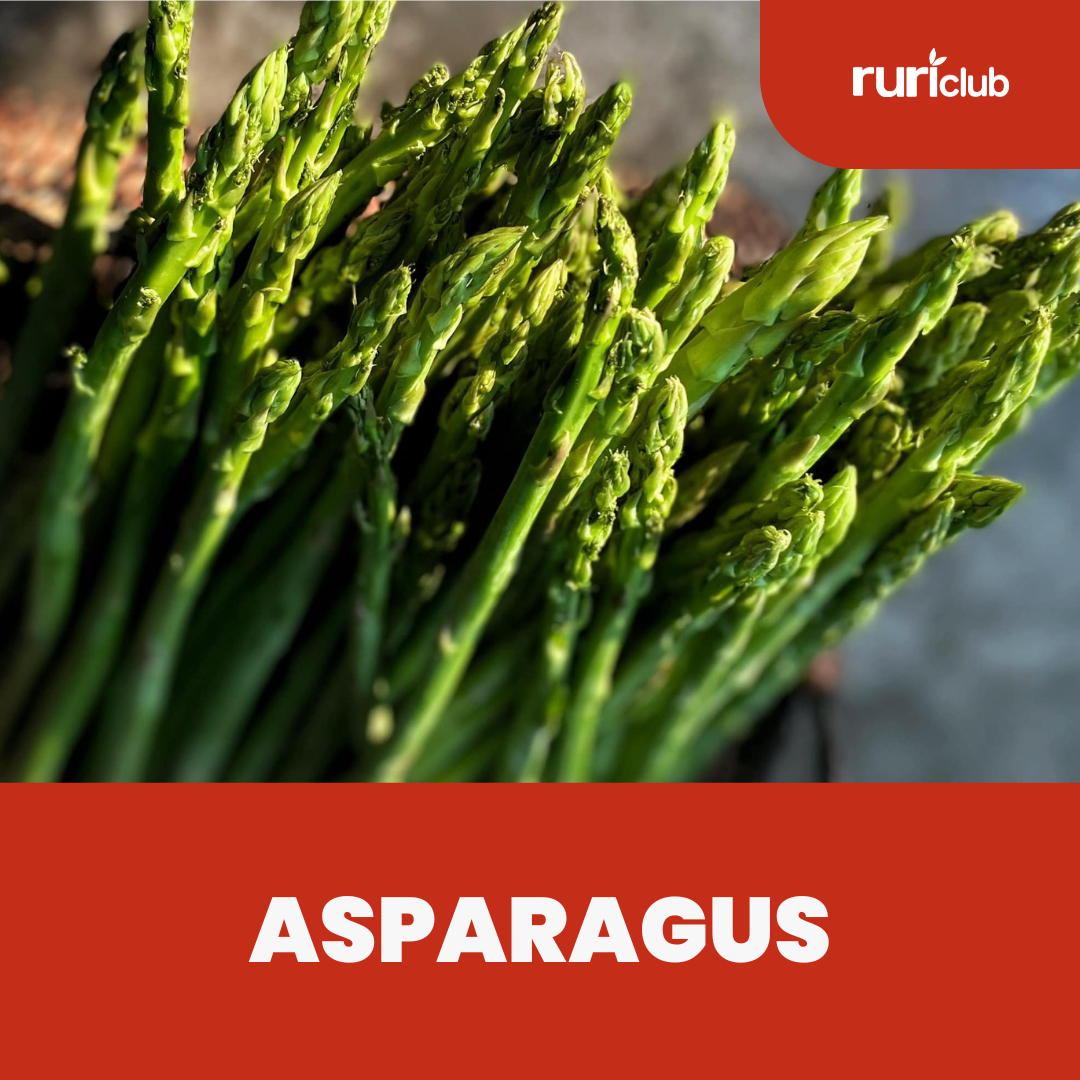 Asparagus