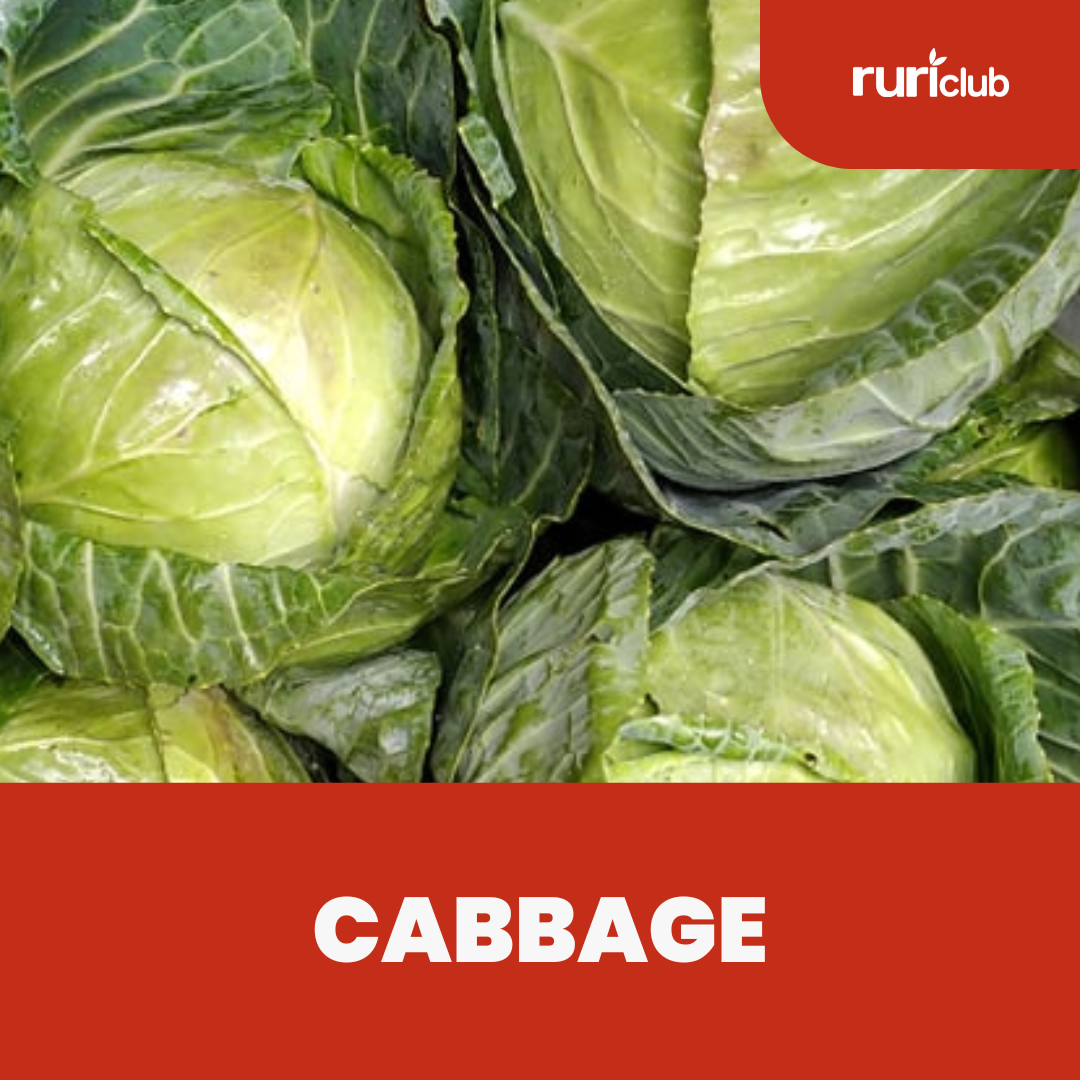 Cabbage Rescue