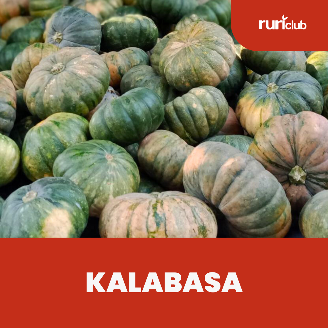 Kalabasa