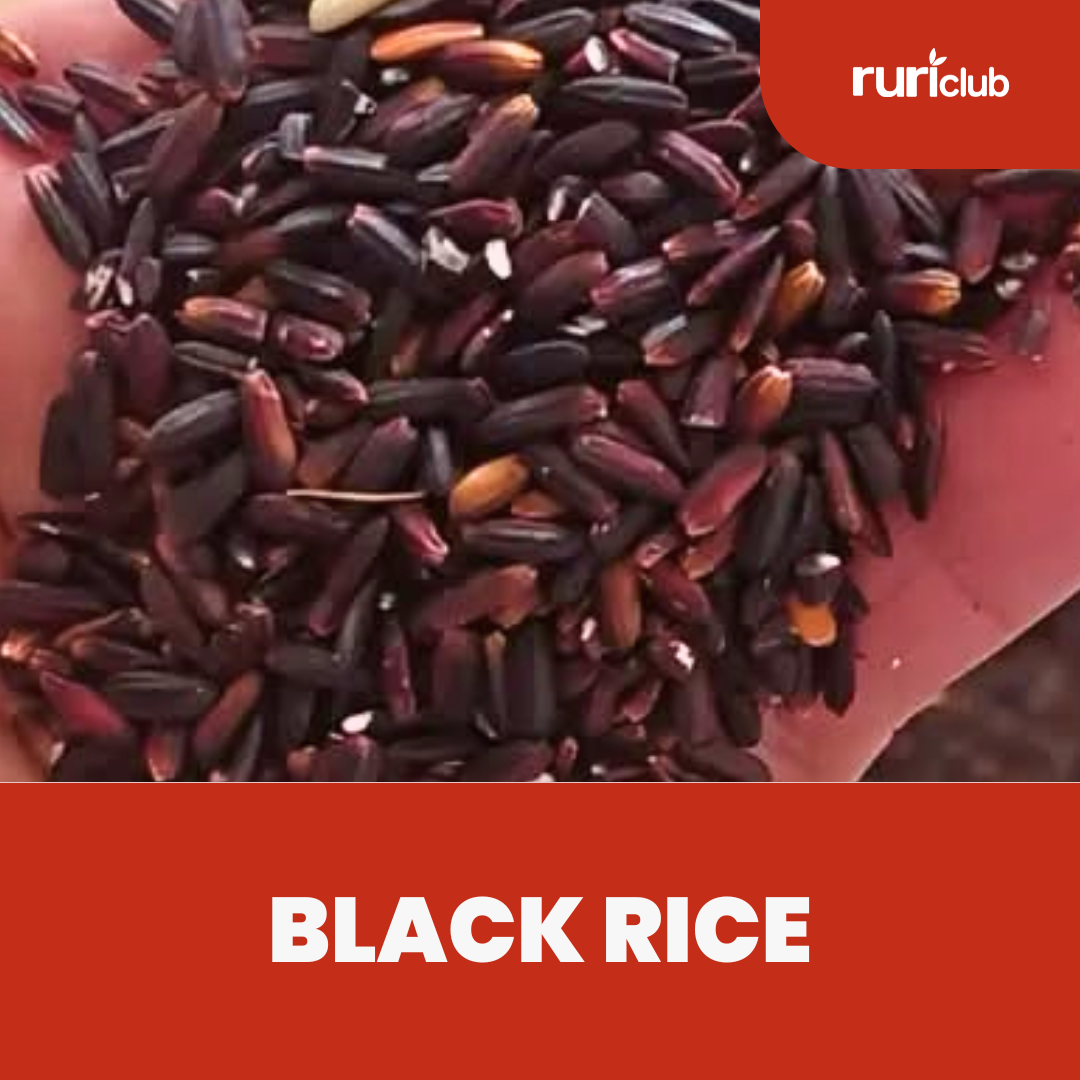 Black Rice GB