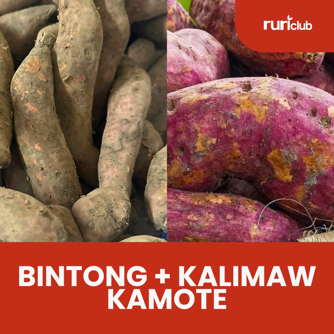 Bintong + Kalimaw Kamote