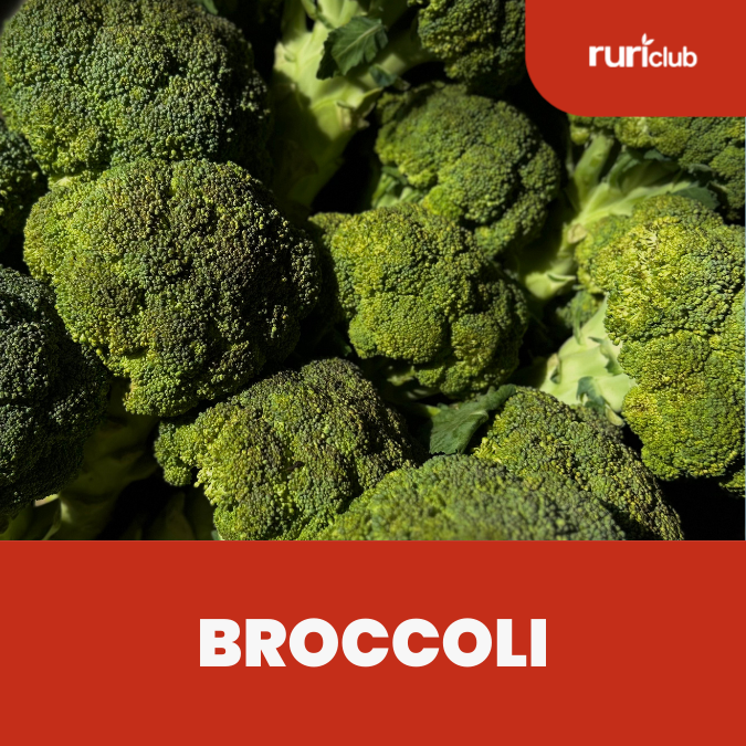 Broccoli (Rolled)