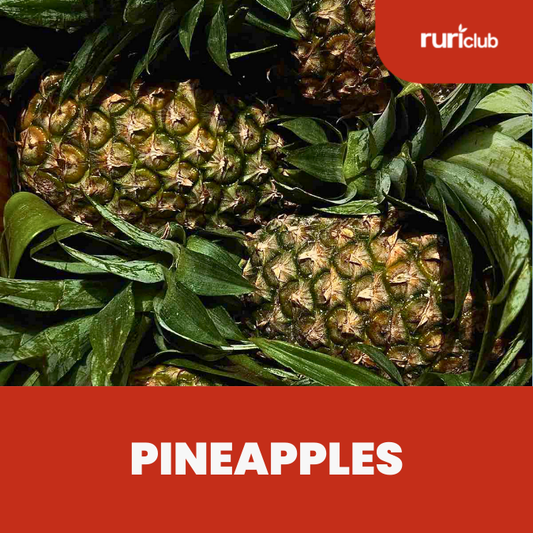 Pineapples GB (2pc)