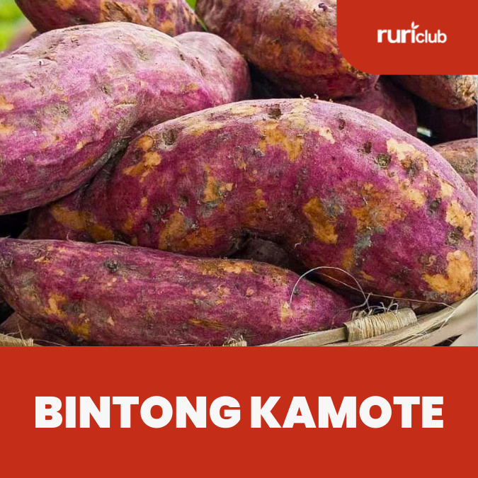 Bintong Kamote GB