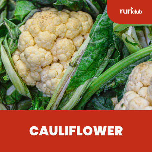 Cauliflower (Rolled)
