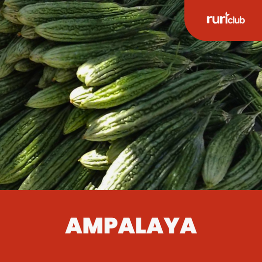 Ampalaya Rescue