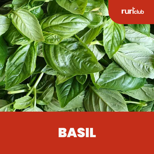 Basil Rescue