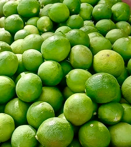 Lemon GB