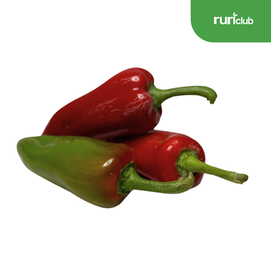 Bell Pepper Sultan
