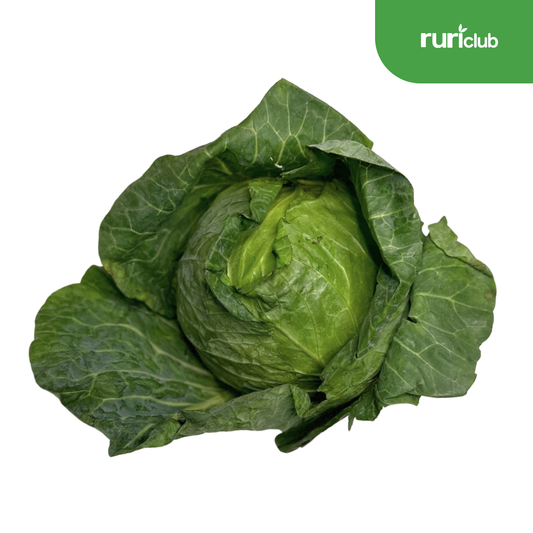 Cabbage Green