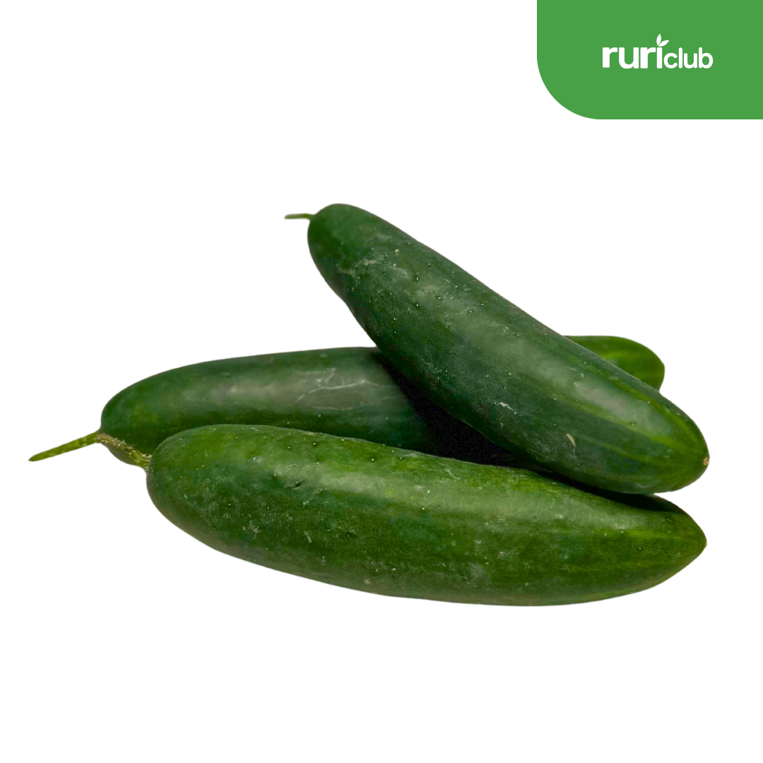 Cucumber Slicing