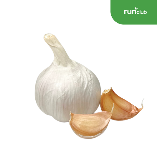 Garlic