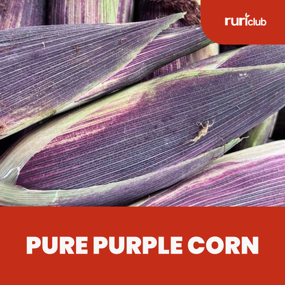 Pure Purple Corn