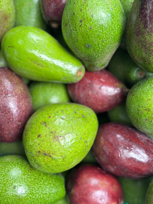 Avocado GB