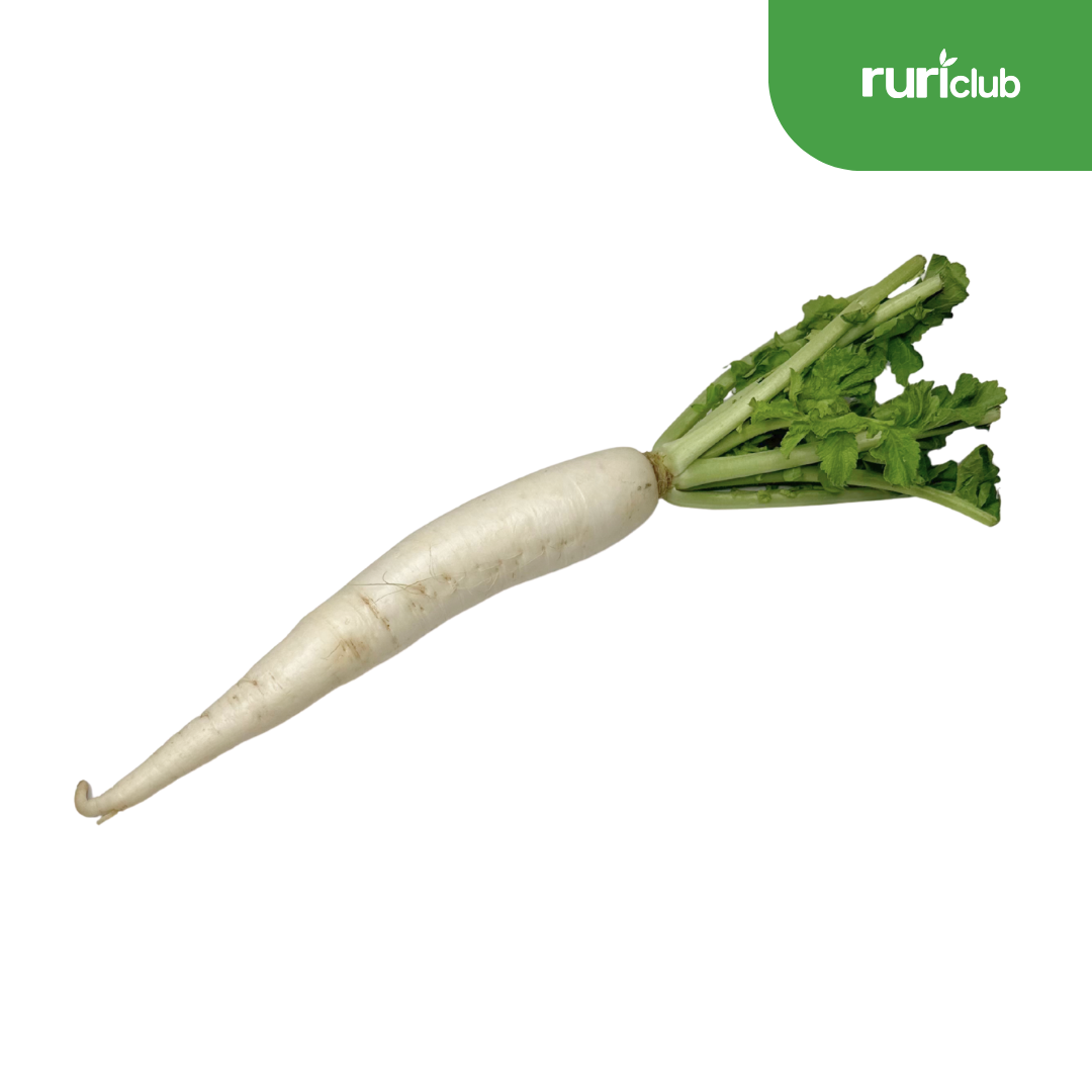 Radish Nongwoo