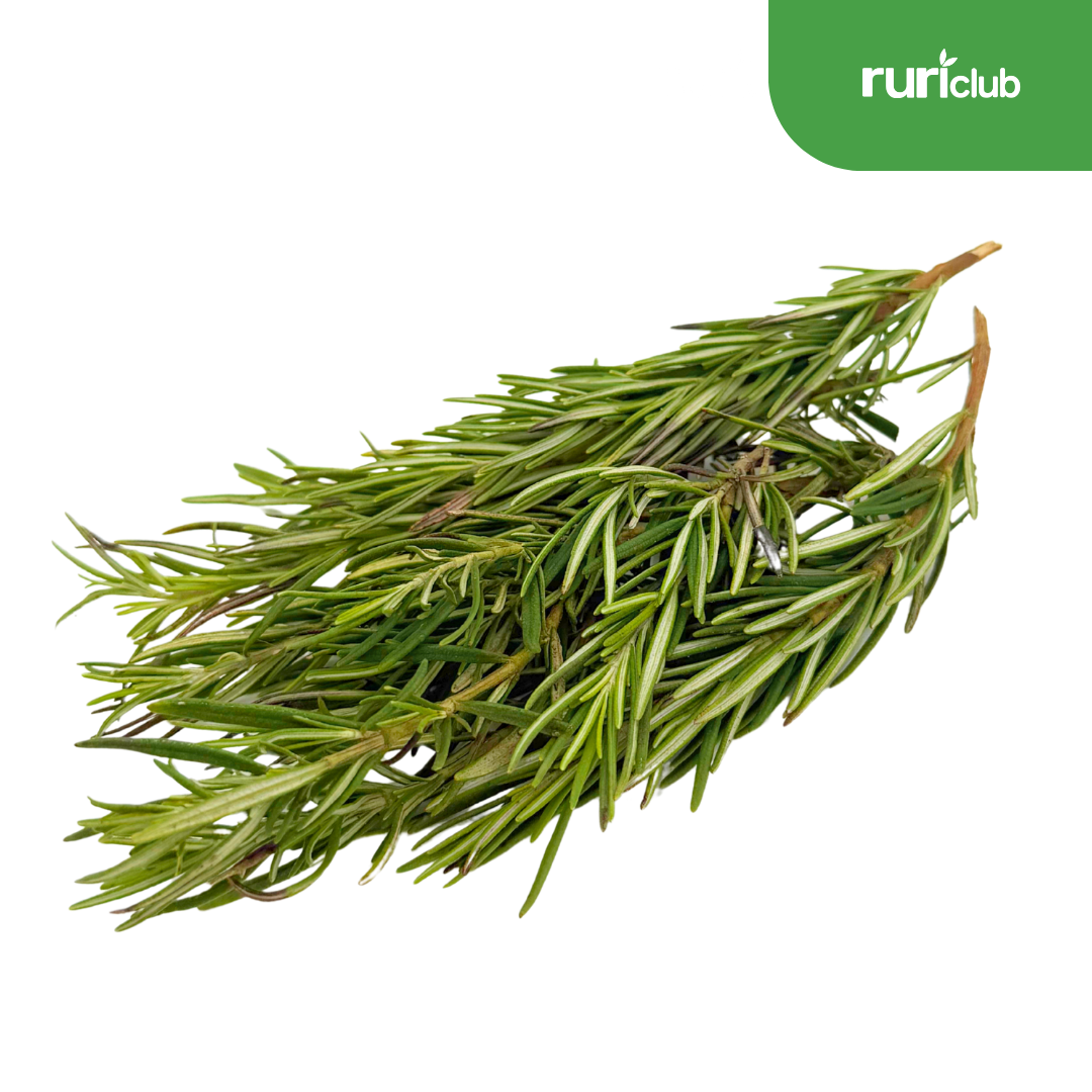 Rosemary