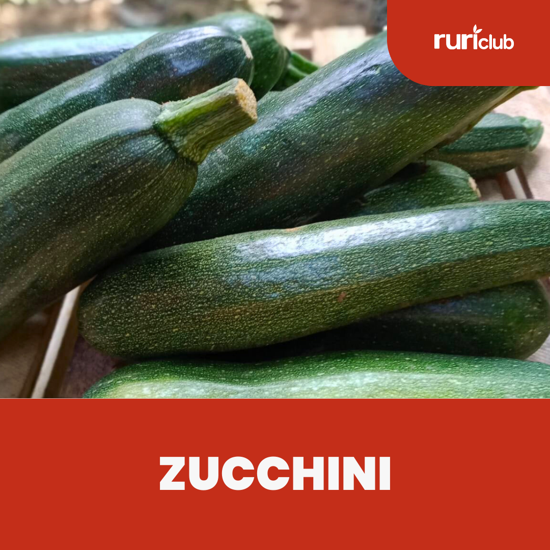 Zucchini