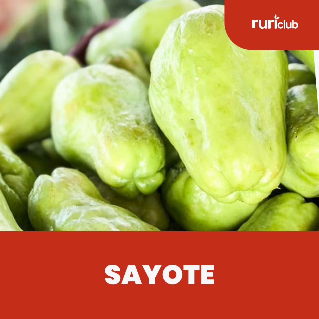 Sayote