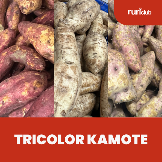 Tricolor Kamote