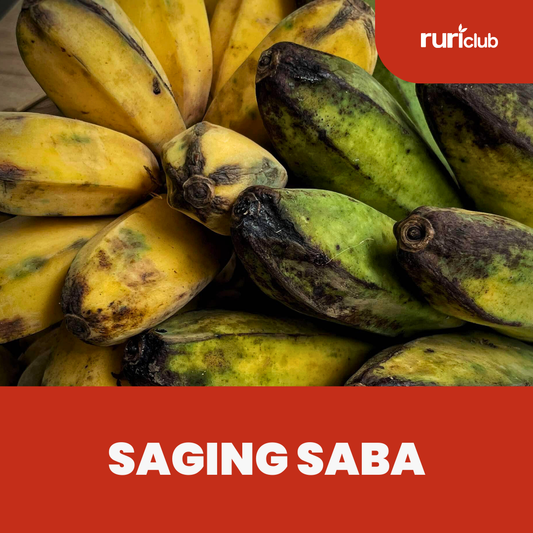 Saging Saba Rescue
