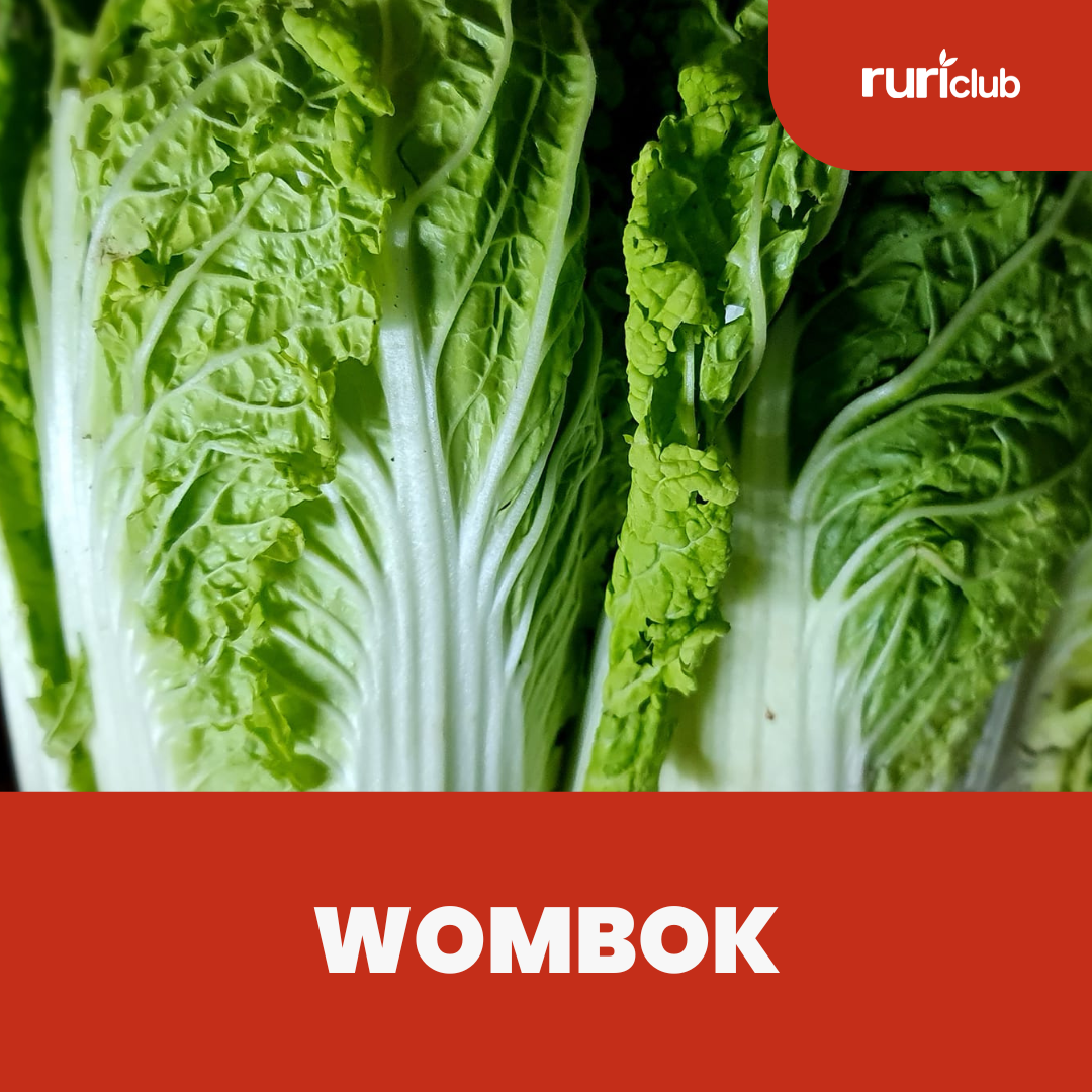 Wombok Rescue