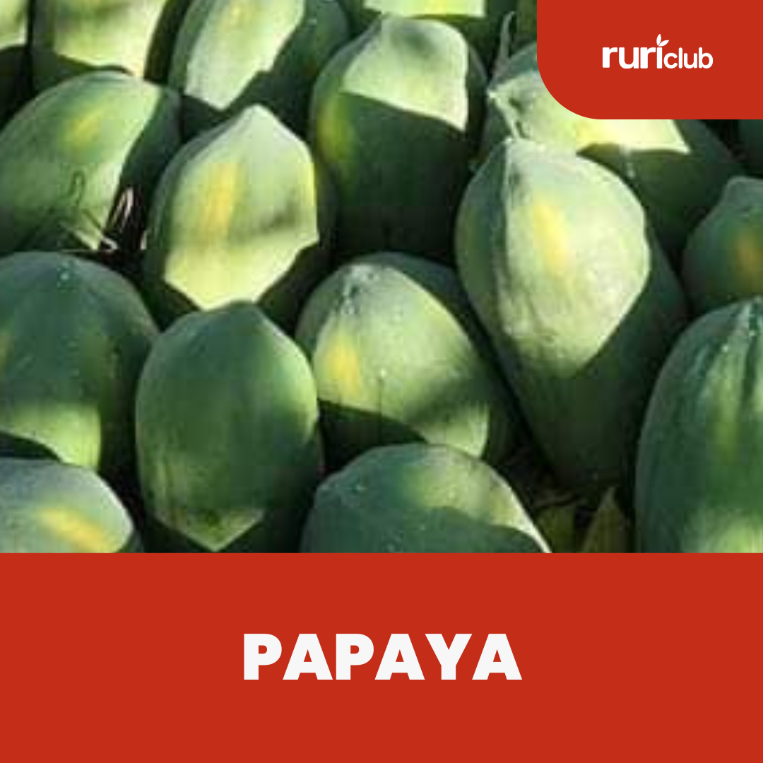 Papaya Rescue