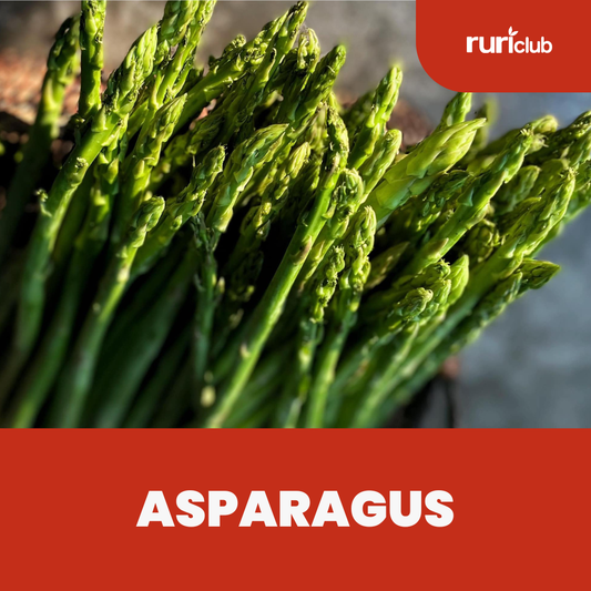 Asparagus