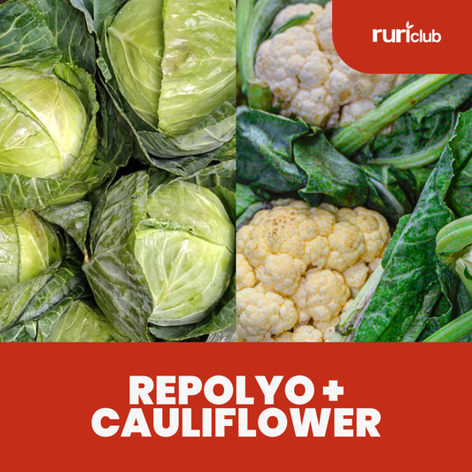 Repoliflower GB