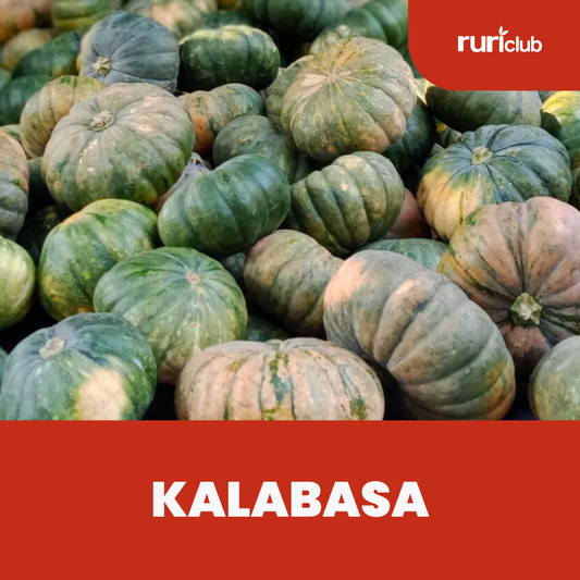 Kalabasa