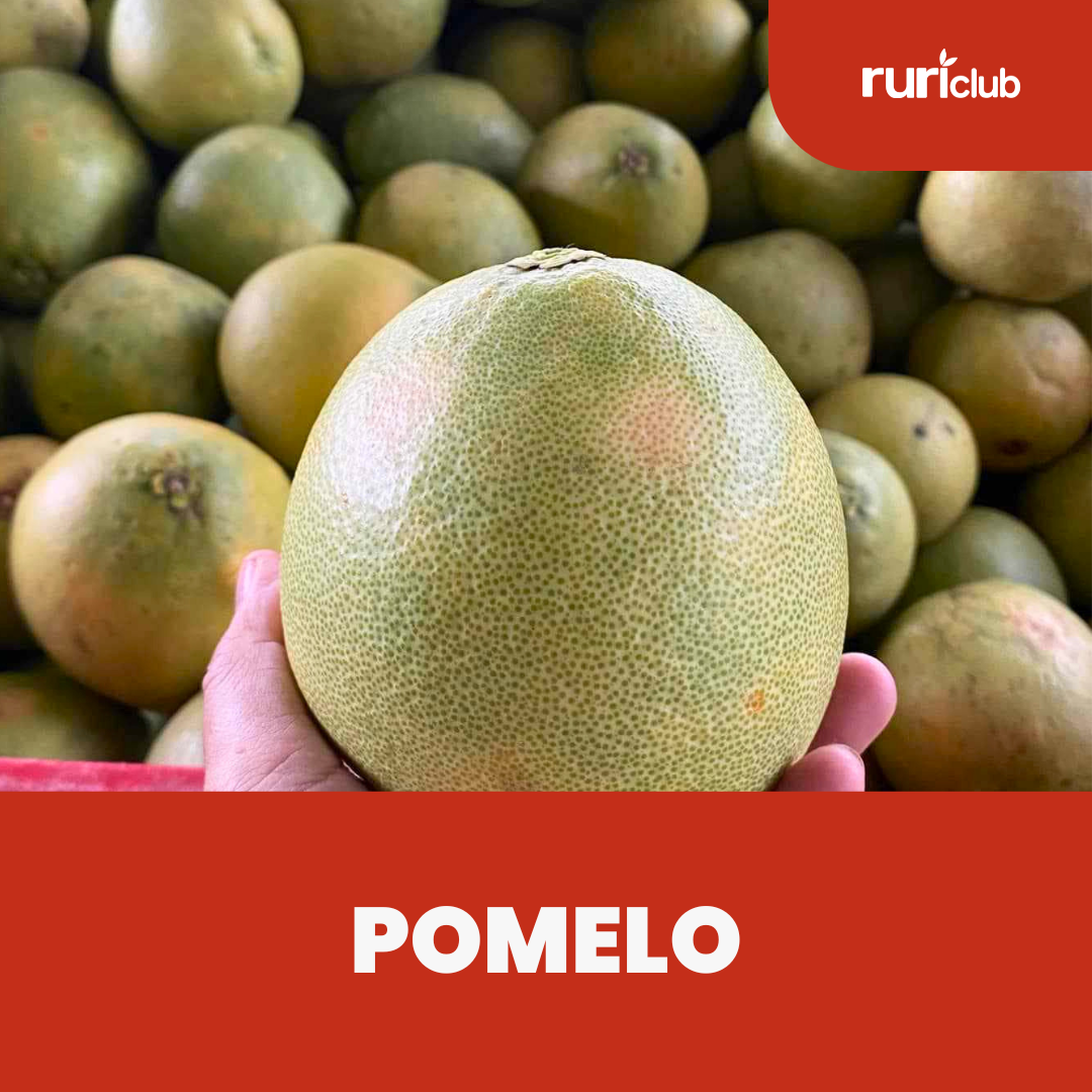 Pomelo GB