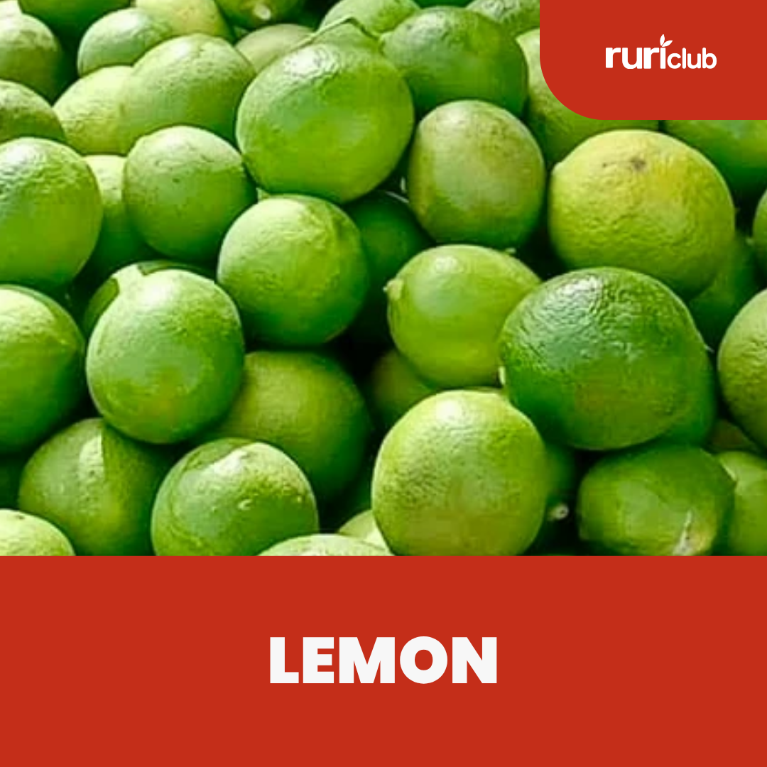 Lemon GB