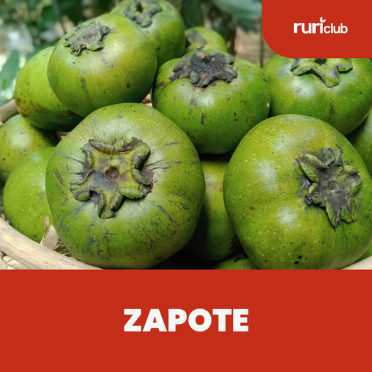 Zapote