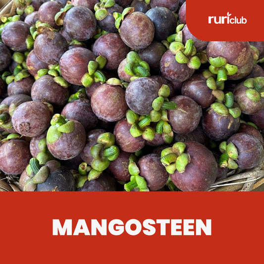 Mangosteen Rescue