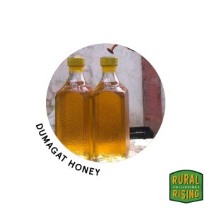 Honey