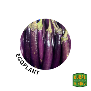 Eggplant