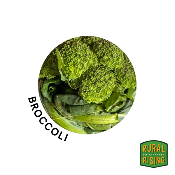 Broccoli Rolled