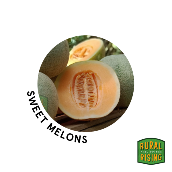 Melon