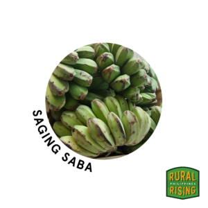Saba Banana