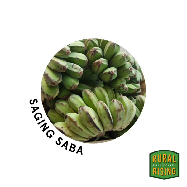 Saba Banana