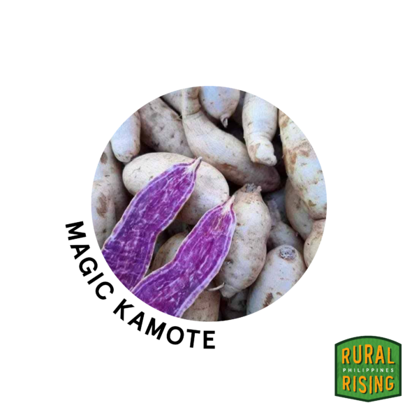 Magic Kamote